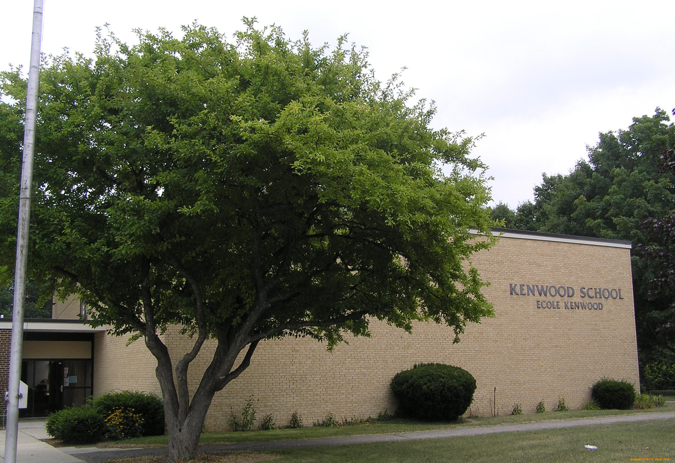 kenwood, 